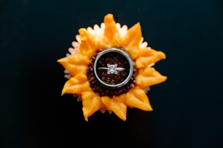 paulapatrickblog-139