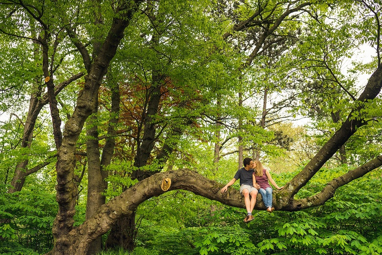 couple kissing in a tree at the Nichols arboretum in Ann Arbor, MI